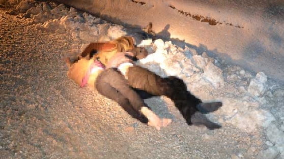 Başkale'de 3 kişi donarak öldü