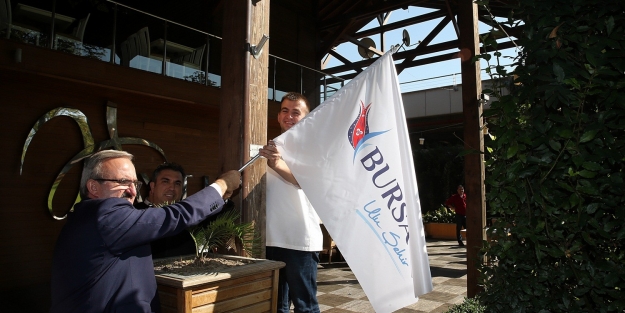 Bursa'da 'lale'li günler başladı