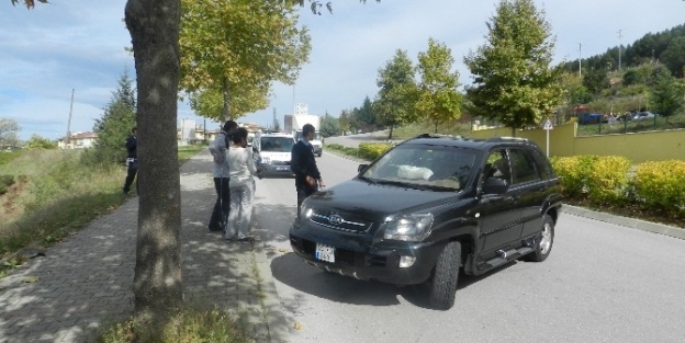 Otomobil Ağaca Çarpti