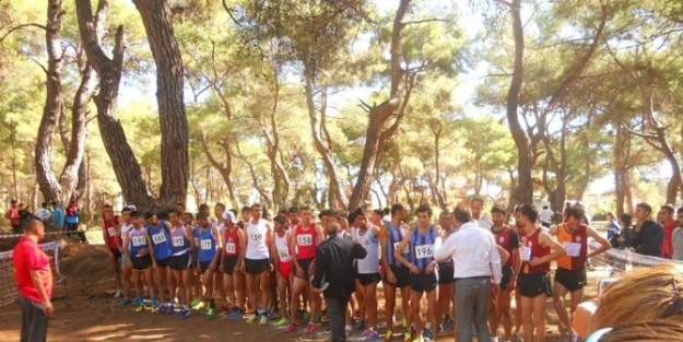 Atletler, Son Etaplarda Hız Kesmiyor