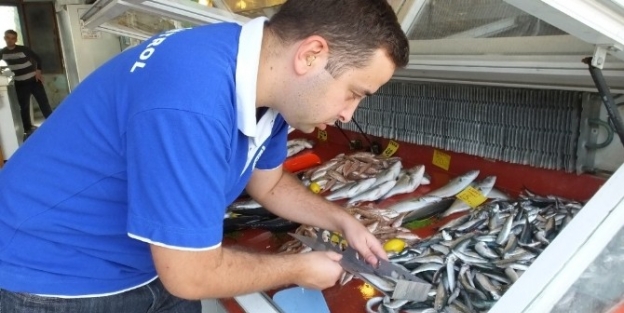 Burhaniye’de Cetvelli Balık Denetimi