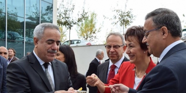 Arıcılık Ve Arı Ürünleri Ar-ge Proje Pazarı