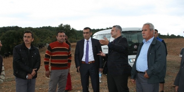 Köprübaşı’nda Antep Fıstığı Yetiştirme Ve Geliştirme Projesi Hayata Geçiyor