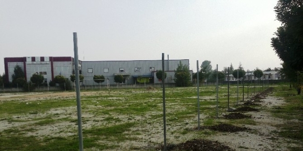 Sanayi Mahallesi Spor Sahası Çalişmalari Başladı