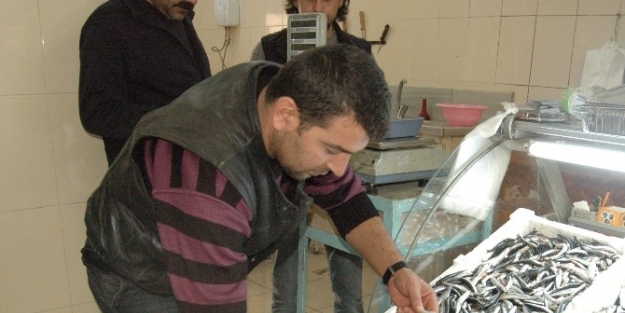 Adıyaman’da Deniz Balığına İlgi Arttı