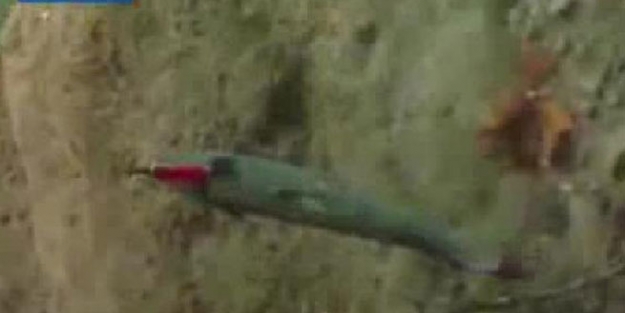 Balığa işkence çektirdiler