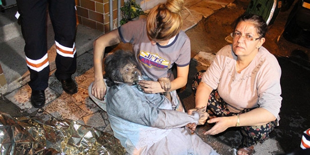 Televizyon izlerken canlarından oluyorlardı