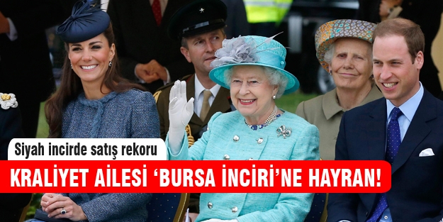 Bursa inciri satış rekoru kırdı!