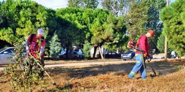 Tekirdağ Devlet Hastanesi Bahçesi Temizlendi