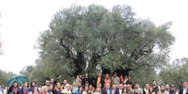 ’’zeytinin Başkenti’’ Akhisar Hasat Şenliği İle Coştu