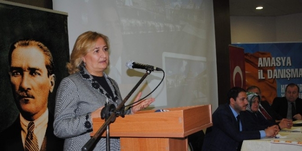 Ak Parti Grupbaşkanvekili Satır Amasya’da Konuştu