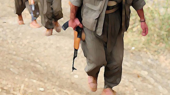 Almanya'dan çarpıcı PKK iddiası