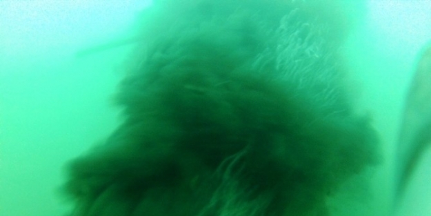 Baski’ye Denizde De Durmak Yok