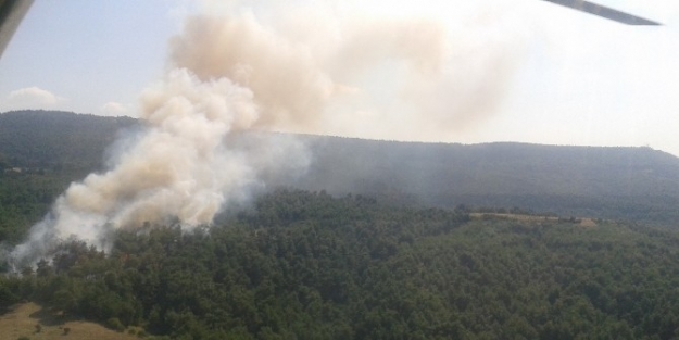 Çanakkale Yangın Sezonunu Başarıyla Tamamladı