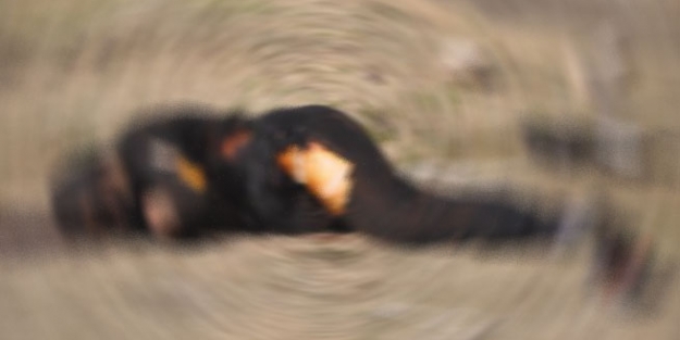 Yüksekova'da yakılmış kadın cesedi bulundu!