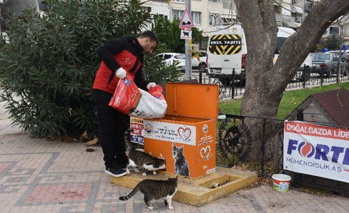 Bursa Gemlik'te sokaktaki canlar mamaya kolayca ulaşıyor