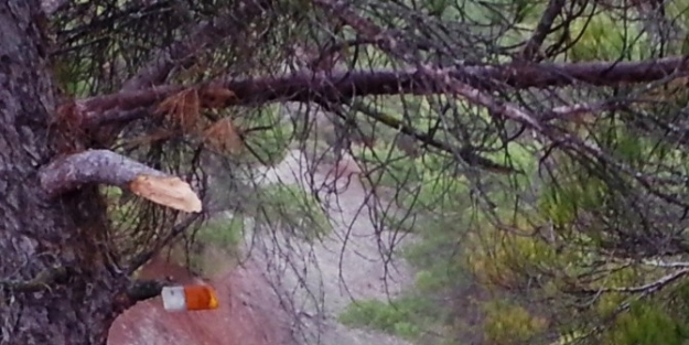 Selendi’de Trafik Kazası: 5 Yaralı