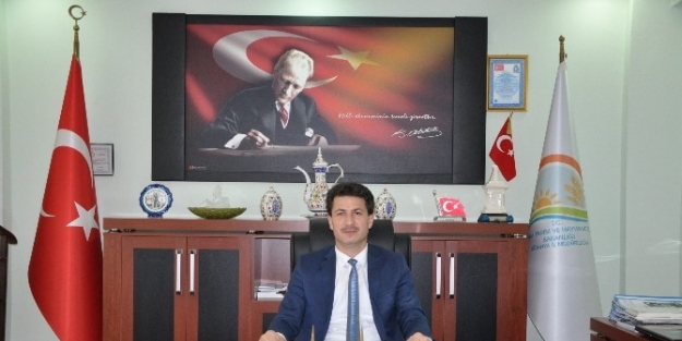 Muhammed Ender Gümüş: Türü Bilinmeyen Mantarları Yemeyin