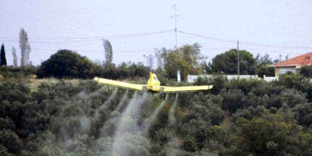 Balıkesir’de 3. Aplikasyon Uçakla Zeytin İlaçlama Çalişmalari