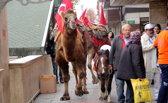 Bursa'daki Cumhuriyet Yürüyüşü'nde deve krizi