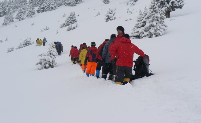 Eğer bu iddialar doğruysa...