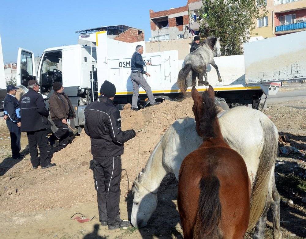 Bursa'daki operasyonda arbede