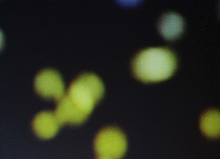 Cumhuriyet Kadınları Karşıyaka’da Şarki Söyledi