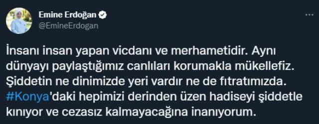 Konya'daki köpek katliamına Emine Erdoğan'dan tepki