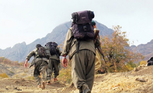 1 PKK'lı teslim oldu