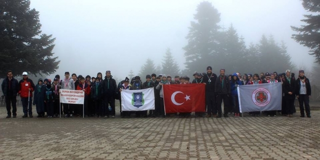 Yavru kurtlar Uludağ'a çıktı