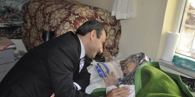 Seydişehir’de Cumhuriyet Çinarlarina Ziyaret