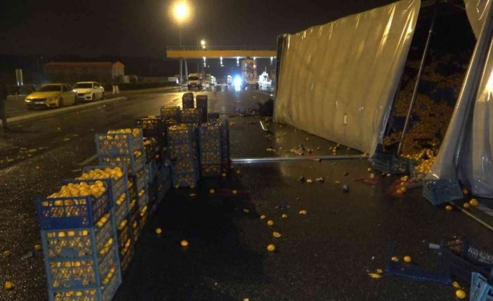 Bursa'da meyve yüklü TIR devrildi : 1 yaralı