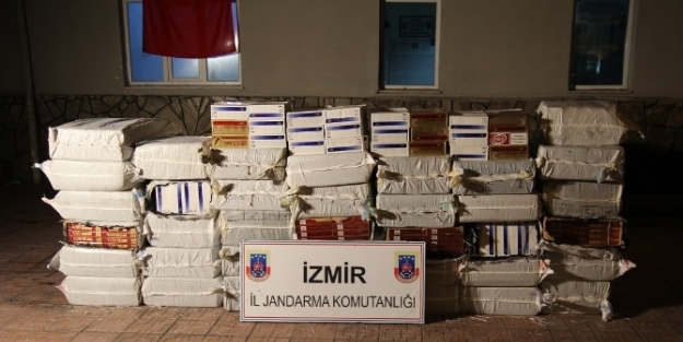 Bayındır’da 50 Bin Paket Kaçak Sigara Elegeçirildi