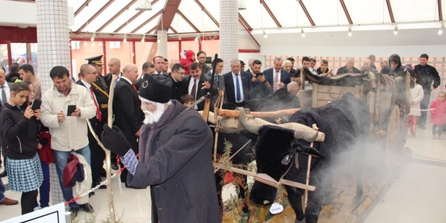 Kurtuluş savaşı bu sergi ile canlandı