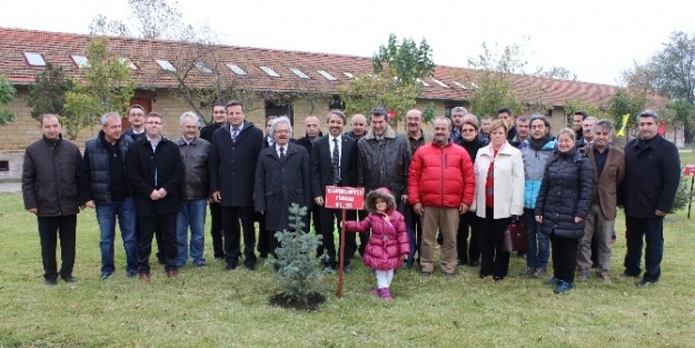 Tü’de Cumhuriyet Fidanı Geleneği Bozulmadı