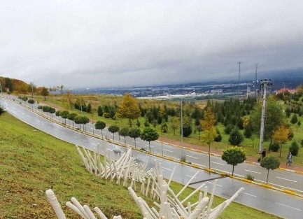 Saü Öğrencisi Tez Çalişmasini Sergiledi