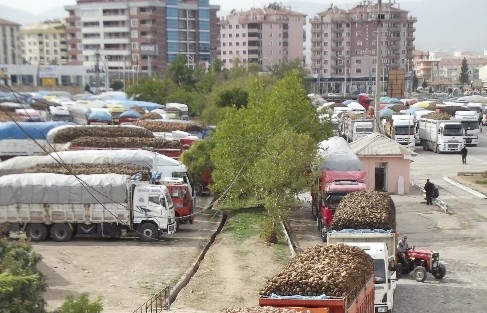 Pancar Üreticisine 15 Milyon Tl