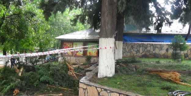 Parkta yıldırım dehşeti, 3 öğrenci yaralı