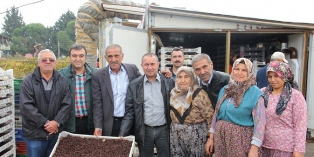 Manisa’nın Üzümüne Destek Çağrisi