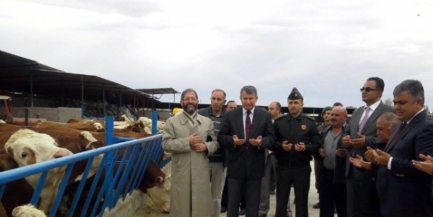 Ereğli Protokolünden Hayvan Çiftliğine Ziyaret