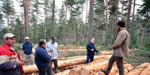 İbrahim Ergüven: Basit Hatalar Kazanç Kaybına Neden Olabilir