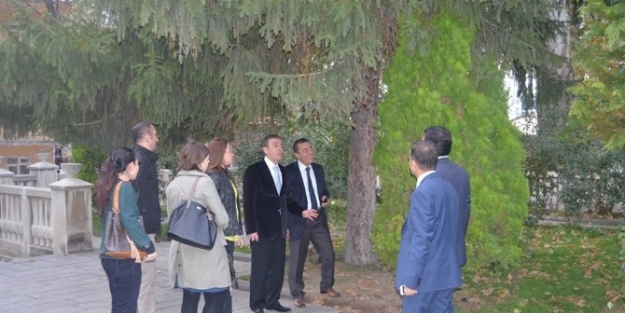 Ak Parti’li Vural Kavuncu: 3 Ağacın Yerinin Değiştirilmesini İstismar Konusu Yaptılar