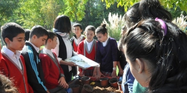 3 Bin 200 Öğrenci Bitkilerle Buluştu