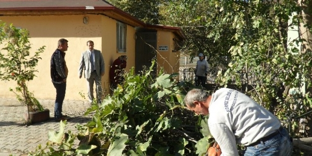 Körfez’de Çevre Kirliliğine Geçit Yok