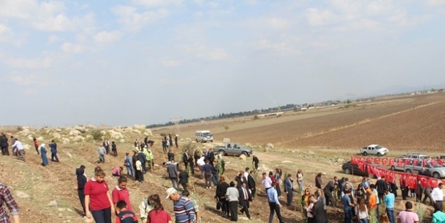 160 Bin Ceyhanlı İçin 160 Bin Fidan