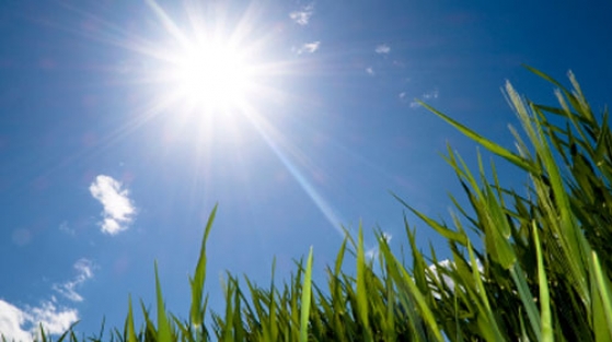 Pastırma sıcakları yolda!