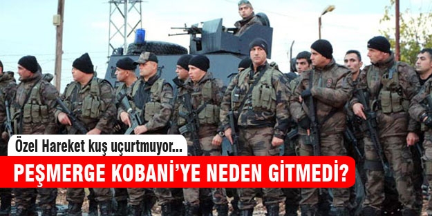 Peşmerge neden Suruç'ta bekliyor?