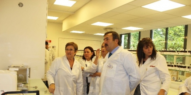 Kocaeli’de, Metiskop İle İş Sağlığında Avrupa Yaklaşımı