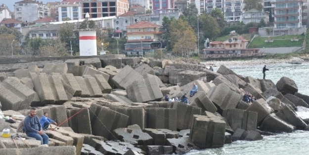 Balıkçı Barınağı Olta Avcılarıyla Doldu