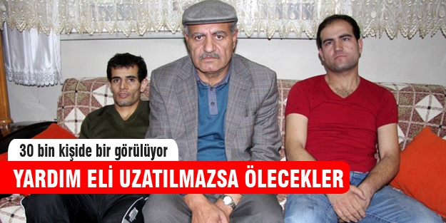 Bakır kardeşler yardım eli bekliyor